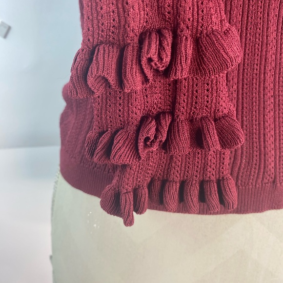 Zara Turtle Neck Ruffle Collar and Sleeves Size Small Wine - Picture 6 of 9